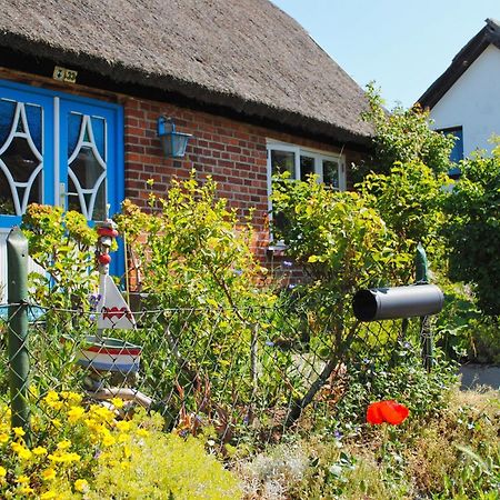 Haus Inselwind Fewo 09 Meerzauber - Terrasse Groß Zicker Extérieur photo